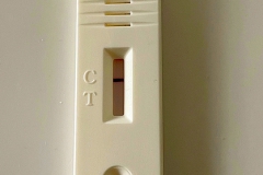 COVID-19-Test