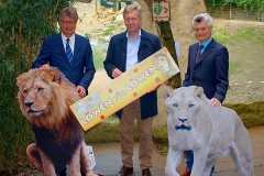 CWulff-Löwen-für-Löwen-Zoo-OS